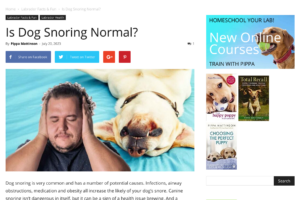 Understanding Snoring, Sleep Apnea, and the Importance of Treatment for Sleep Health